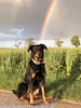 beauceron.net.de