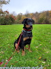 beauceron.net.de