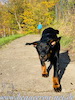 beauceron.net.de