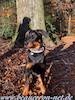 beauceron.net.de