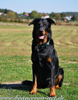 beauceron-net.de