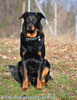 beauceron-net.de